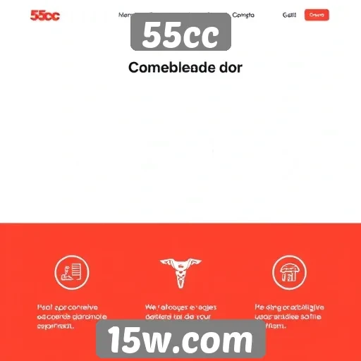 Usabilidade do site 55cc analisada por especialistas